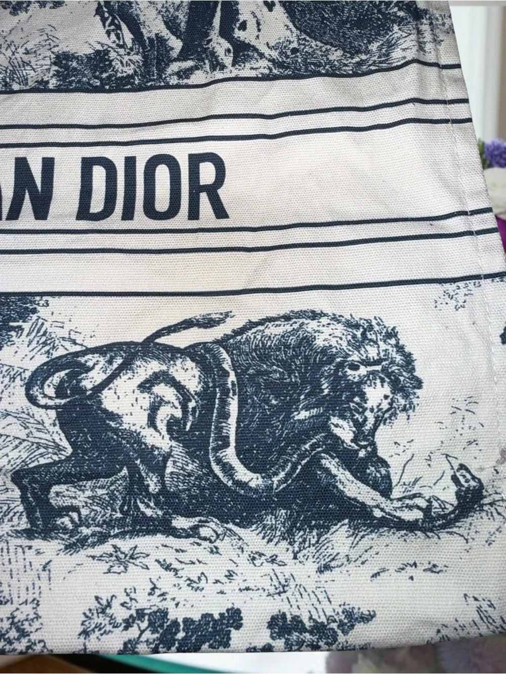 Authentic Christian Dior Dioriviera Limited Edition Tote Bag - Blue